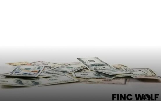 Cash vs. Credit: Which is Better for Your Daily Expenses?