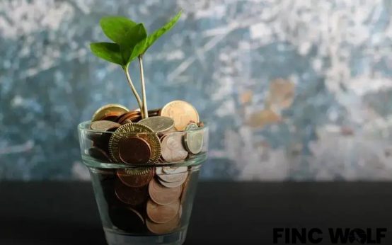 The Rise of CBDCs: Exploring Digital Currency's Future