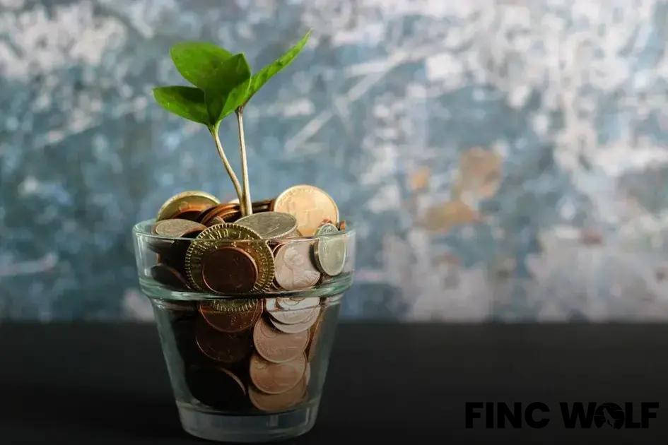 The Rise of CBDCs: Exploring Digital Currency's Future