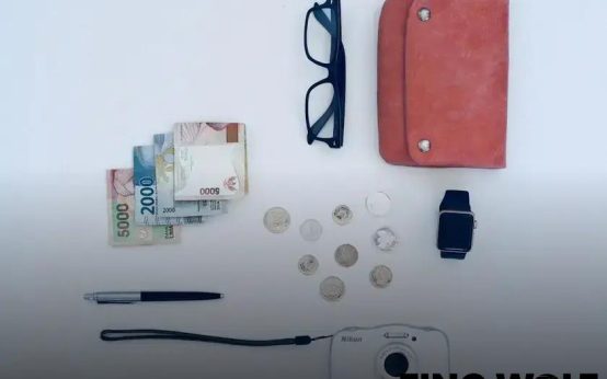 The Truth About Ponzi Schemes in 2025: Uncover the Secrets